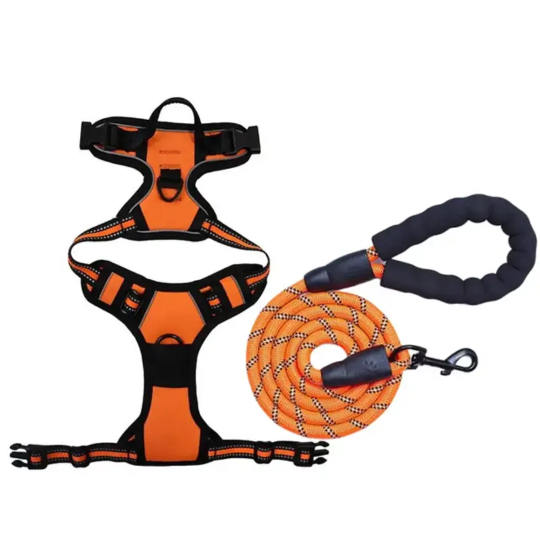 ORANGE EN XL